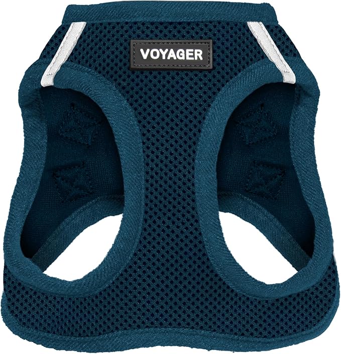 Best Pet Supplies Voyager Step-in Air Harness - All Weather Mesh, Reflective, No Pull Harness for Dogs, Cats - Secure with Hook & Loop Fastener, Buckle, Double D-Rings - Blue, XXS