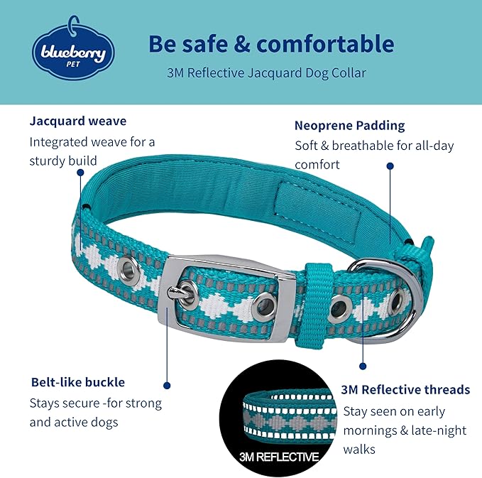 Blueberry Pet Reflective Jacquard Dog Collar with Neoprene Padding & Metal Buckle | Soft & Adjustable Safety Collar - Peacock, Neck 13-16.5", for Medium Breed
