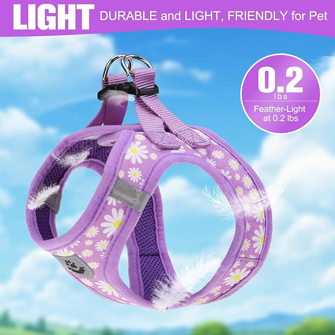 EXPAWLORER Small Dog Harness and Leash Set - Cute Spring Puppy Harness Leash Dog Collar with AirTag Holder Silicone Case, Soft Padded Step in Pet Vest Reflective for Outdoor Walking, Purple Daisy M