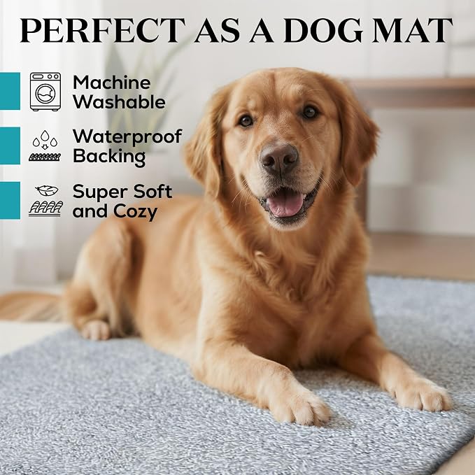 Premium Microfiber Indoor Door Mat – 32"x48" Washable Entry Mat, Waterproof