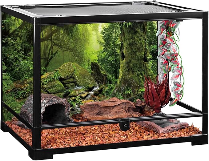 AWERT Tropical Forest Terrarium Background Stream Green Huge Tree Reptile Habitat Background Foggy Rainforest Aquarium Background 60x24 inches Durable Polyester Background