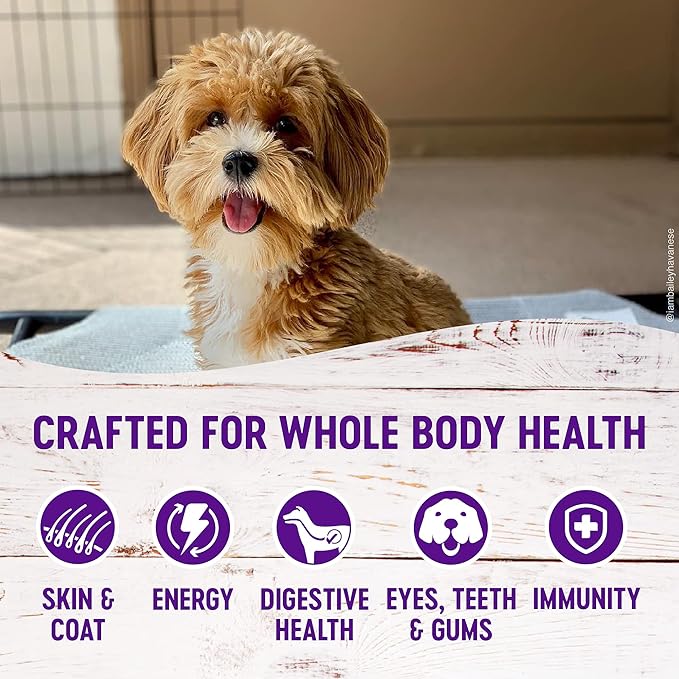 Whimzees Brushzees Extra Small Dental Treats + Wellness Complete Health Small Breed Dog Food, 12 lb Bag