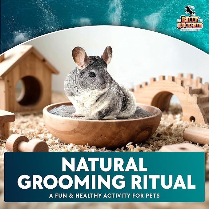 6 LB. Chinchilla Dust Bath Jar - Pure Cleansing Pumice Sand Dust for Cleaning Small Pets Like Gerbils, Mice, Degu - Premium, All Natural Dusting Powder - Chinchilla Accessories by Billy Buckskin