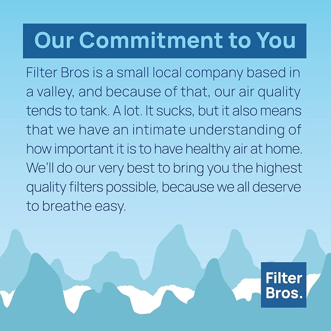 Filter Bros LV-H132-RF High Efficiency Activated Carbon Replacement Filter Fits