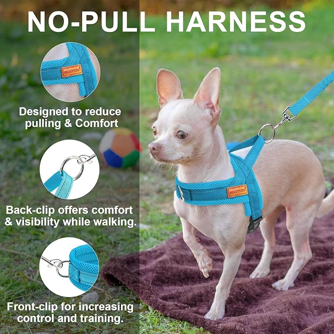 BEAUTYZOO Dog Harness for Small Dogs, No Pull Dog Harness and Leash Set, Soft Escape Proof Puppy Vest Harness with Handle, Reflective Lightweight Step in Harness for Girl Boy Dogs, Blue S