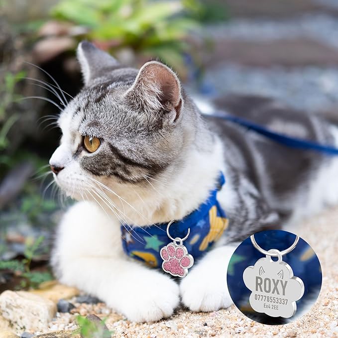 EDSG Cat Dog Tags Personalized for Pets, Dog Name Tags Cat Name ID Tag, Engraved Dog Tags Dog ID Tags Small Glitter Bling ID Tag Paw Print for Cat Pet Dog Puppy(Silver,Design 1)