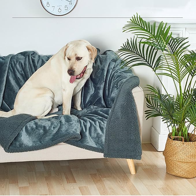 Waterproof Pet Blanket, Lovers Blanket Reversible Plush Sherpa Fleece Furniture Protector for Sofa, Bed & Couch, Liquid & Pee Proof Dog Blanket Cover for Dogs Cats Lovers Couples (Beige, XXL(79"x79"))