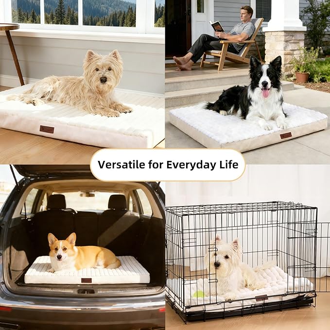 Orthopedic Dog Bed with Firm High-Density Egg Crate Foam,Soft Short Plush Surface Pet Beds,Machine Washable with Removable Cover & Non-Slip Bottom for Medium/Large Breeds (Beige, 35"L x 22"W x 3"H)