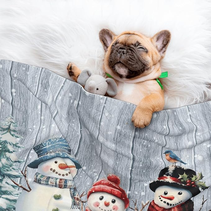 Winter Snowman Throw Blanket - Wodden Blanket for Dog Cat Snowy Pet Blankets 40x30 for Couch Sofa Bed
