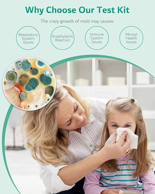 Mold Test Kit for Home