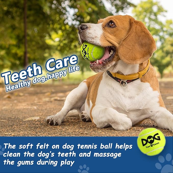 Large Squeaky Tennis Balls for Dogs - 8 Pack 3.0'' Durable Non-Toxic Outdoor Dog Toys Balls with Mesh Bag, SGS Certified, Colorful Fetch Toys, Medium Large Breeds