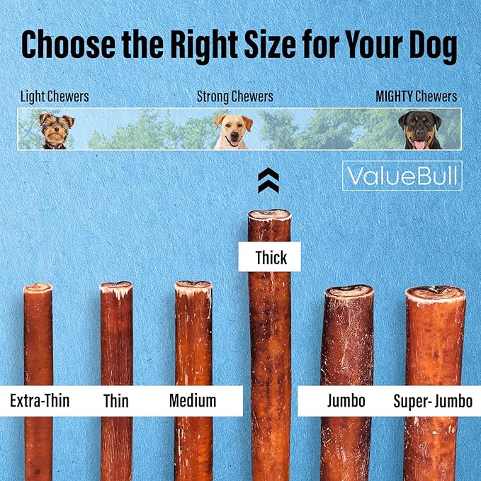 ValueBull Bully Sticks for Dogs, Thick 6 Inch, 400 Count Wholesale Pack - All Natural, Grass Fed, Single Ingredient, Long Lasting Dog Treats