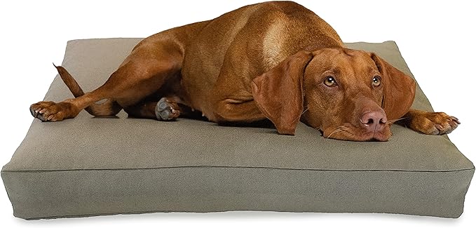 X-Small -24 x 18 x 4 - Natural Premium Organic Hemp Dog Bed - Organic Latex Fill - Removeable Cover