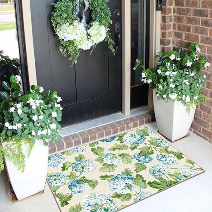 Front Door Mat Outside Entrance