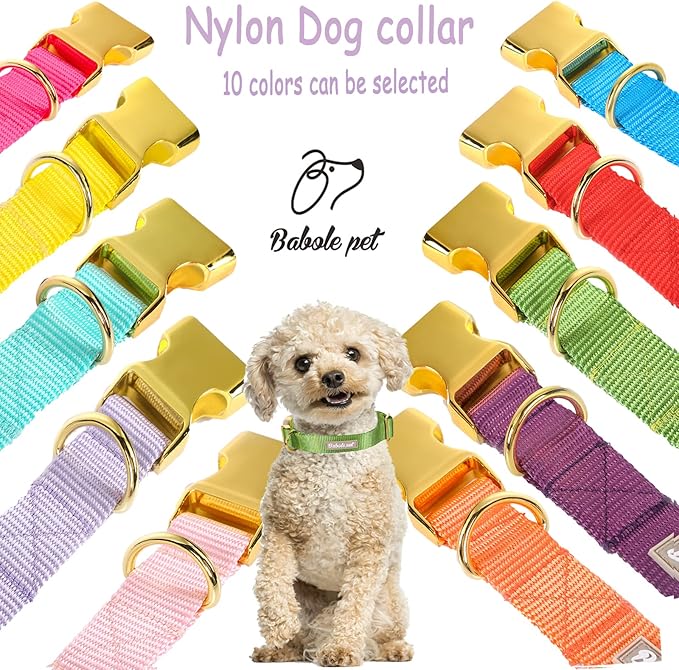 Nylon Dog Collar - Adjustable Green Soft Webbing Dog Collars for Small Medium Large Dogs Boy Girl Puppy Collar with Safety Metal Buckle XS