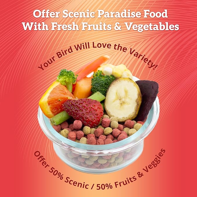 Scenic Mix Paradise Premium Parrot Food - Apple & Natural Flavors, High Protein, Low Iron Conure Bird Food, Eclectus & Other Small Pet Parrots, Omega 3, Vitamins & Minerals, 1 LB Bag