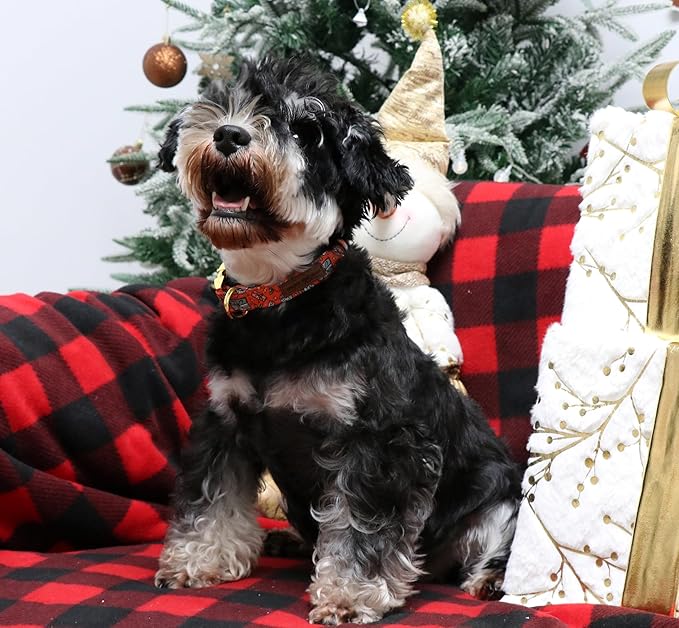 Unique style paws Dog Collar Metal Buckle Puppy Collar for Winter Christmas for Small Medium Large Boys Girls Dogs