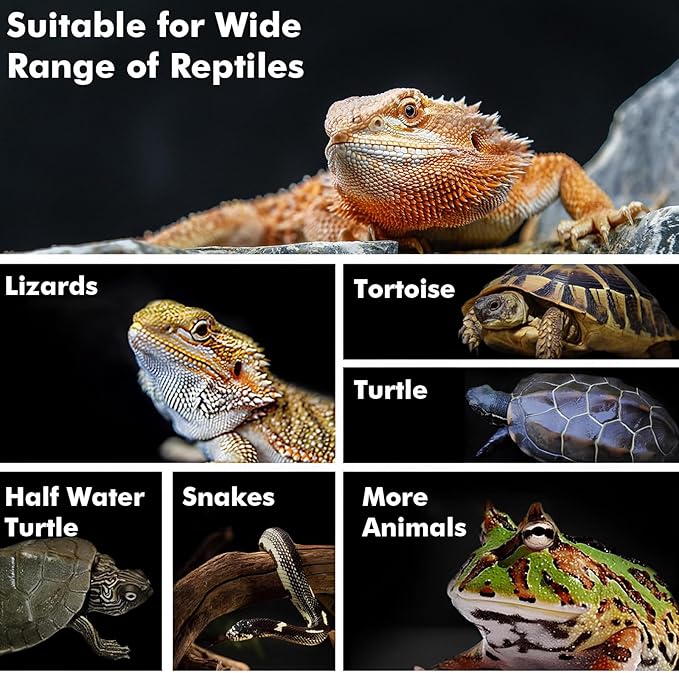 Reptile Heat Lamp, 150W Heat Lamp Bulbs for Reptiles 2 Pack, Amphibians Basking Heat Lamp Bulbs, UVA Daylight Basking Light for Reptiles, Bearded Dragon, Lizard, Turtle, Chicken