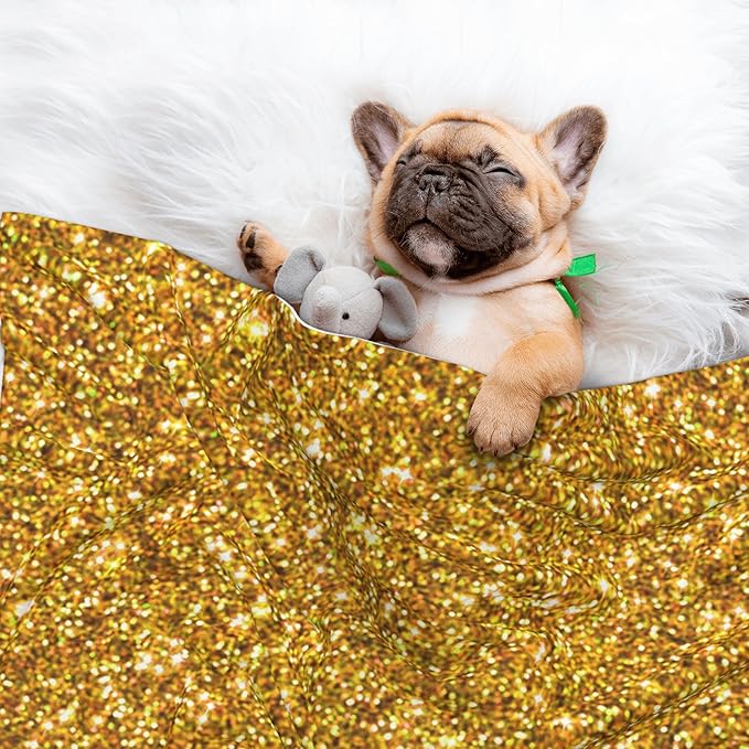 Waterproof Dog Blanket Soft Pet Blanket for Puppy Cat, Fleece Cat Throw Blankets for Furniture Bed Couch Sofa Reversible - Gold Glitter 1
