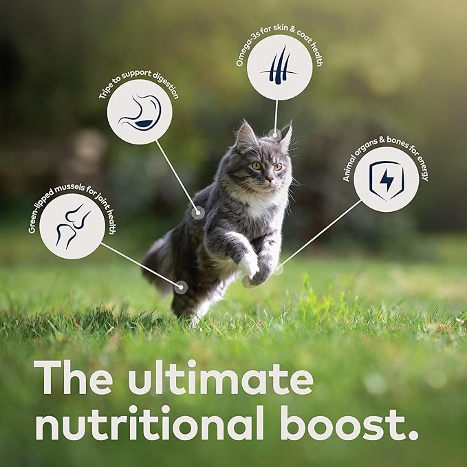 ZIWI Peak Wet Cat Food – All Natural, High Protein, Grain Free, Limited Ingredient, with Superfoods (Venison, Case of 6, 3oz Cans)