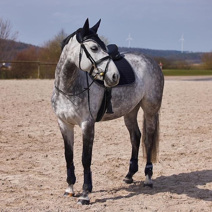 HORZE Adepto Open Front Tendon Boots | Durable Shell with Neoprene Lining - Dark Navy - Cob