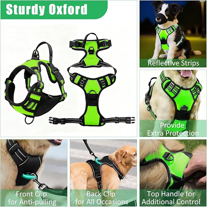 No Pull Dog Harness Adjustable Collar & Leash Set - Dog Halter Harnesses Collapsible Bowls & Poop Bag Dispenser Muzzle ID Tags Toys Fits Small Medium Large Dogs (Green-M)