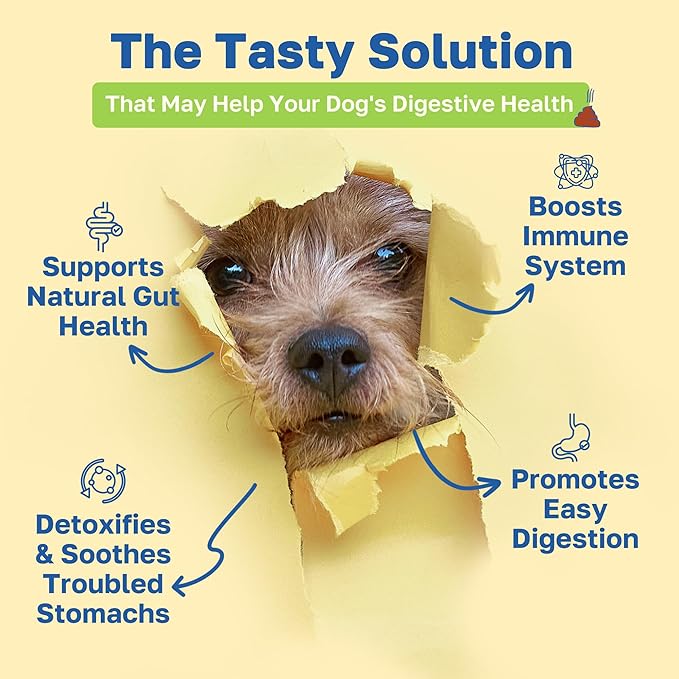 Happy Paws Digestive Supplement for Dogs, Supports Gut Health for Dogs of All Breeds & Ages, Made with Probiotics, Enzyme Blend & Ginger Root, Pumpkin Flavor, Organic, Non GMO, 100 Soft Chews