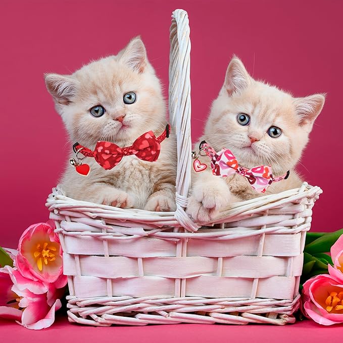 ADOGGYGO Valentine Cat Collars with Bow Bell, Breakaway Cat Bowtie Collar Red Pink Heart Pattern Valentine Collars for Girl Boy Cats Kittens