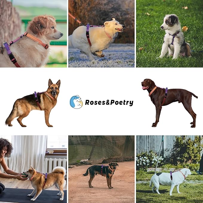 Roses&Poetry Small Dog Harness and Leash Set, No Pull Dog Harness Adjustable Reflective, Dog Halter Harnesses Comfort Padded Handle, Pet Harness for Training Outdoor Walking（Mistyrose-S