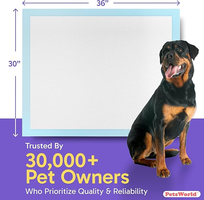 PetsWorld XL Dog Pee Pads 30"x36", 900-Count – Heavy Duty, Leak-Proof Potty Training Pads for Puppies & Large Dogs, Super Absorbent, Quick-Dry Disposable Pads with Odor Control