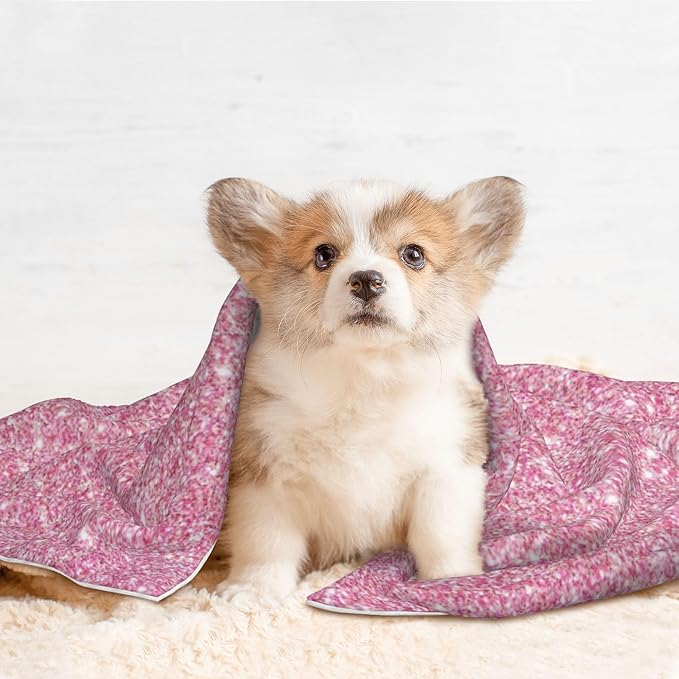 Waterproof Dog Blanket Soft Pet Blanket for Puppy Cat, Fleece Cat Throw Blankets for Furniture Bed Couch Sofa Reversible - Glitter