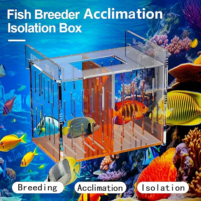 Fish Breeder Isolation Box for Aquarium Tank,Transparent Orange Acrylic Fish Acclimation Box for Clownfish Guppy Betta Coral (M)