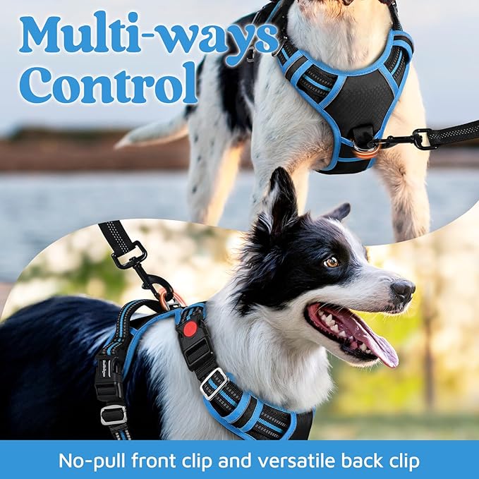 rabbitgoo Dog Harness Medium Sized, No Pull Dog Vest with 3 Buckles, Adjustable Soft Padded Pet Harness with Easy Control Handle and Reflective Strips, Black & Sky Blue, M