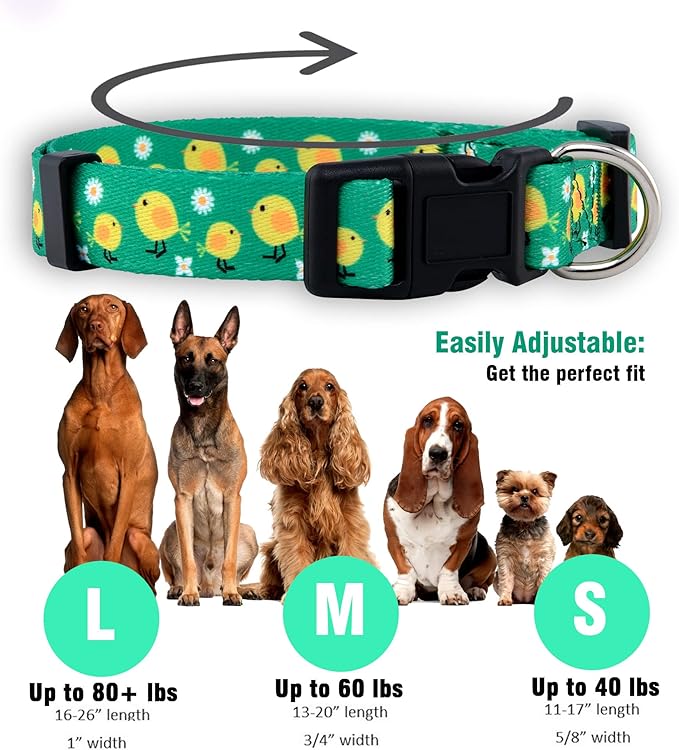 Native Pup Easter Dog Collar, Cute Spring Gift for Puppies, Pink Pastel, Eggs, Chicks, Bunny Adjustable for Small, Medium, Large Breeds (Chicks, Medium)