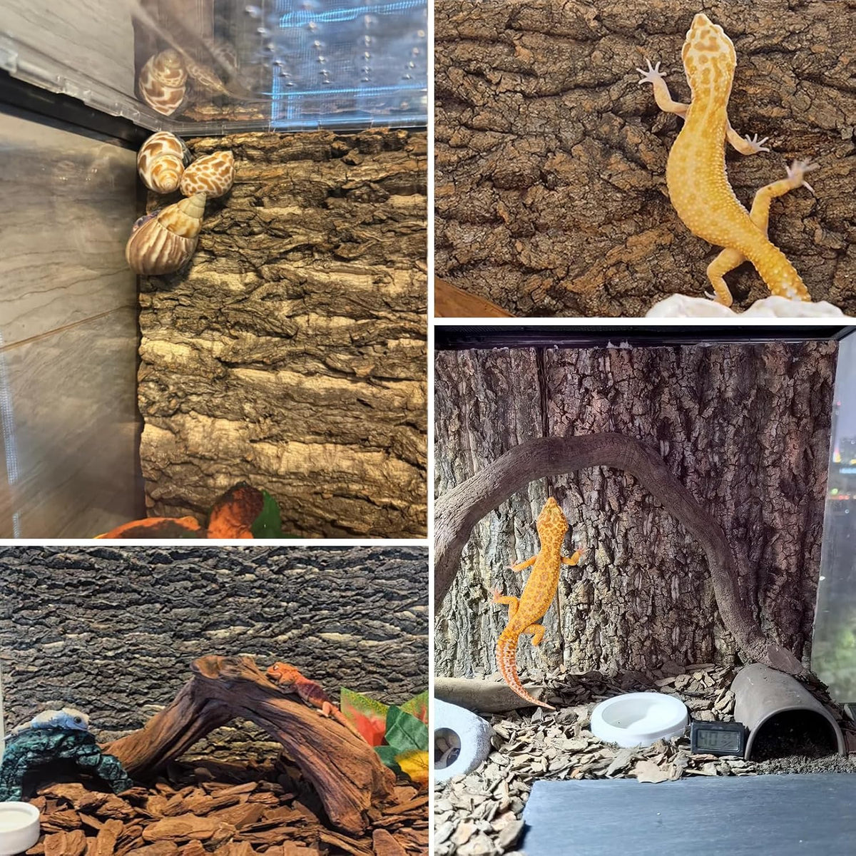 Cork Terrarium Background 11.8x7.9in 8PCS Natural Reptile Cork Bark Flats Terrarium Board Bearded Dragon Climbing Wall Mat Tank Accessories Decor for Lizard Chamelon Snake Turtle Spider Crested Gecko
