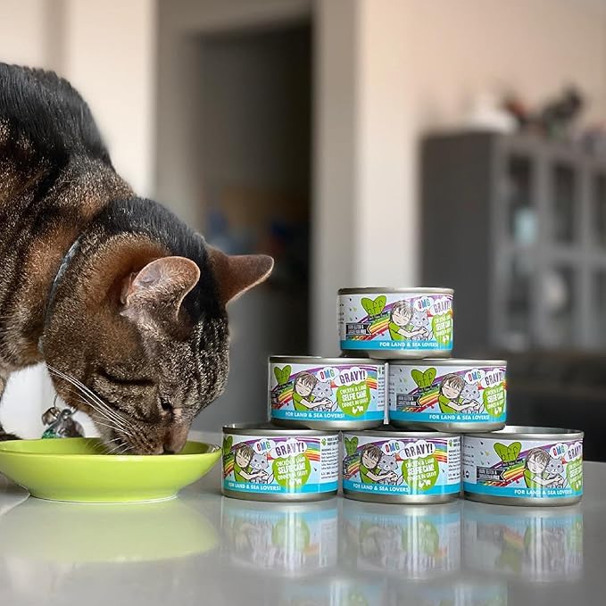 B.F.F. OMG - Best Feline Friend Oh My Gravy!, Tuna & Lamb Lights Out with Tuna & Lamb, 5.5oz Can (Pack of 8)