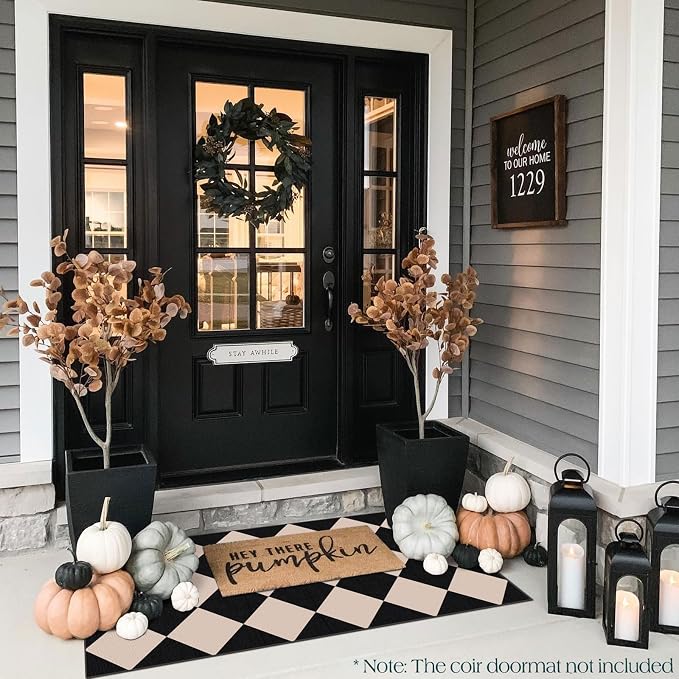 Front Door Mat Indoor Entrance