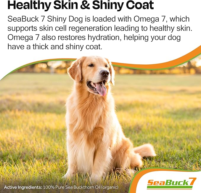 SeaBuck 7 Shiny Dog Sea Buckthorn Oil to Improve Dog Health (2-4 Month Supply, 60ml) – Supports Shiny Coat, Healthy Digestion, and Skin & Paw Pad Health for Dogs
