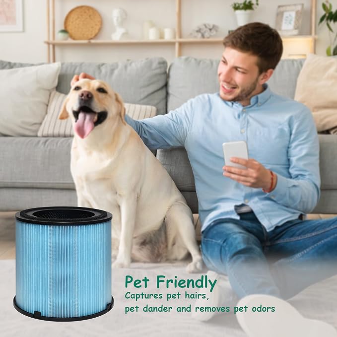 AP1001 Filter Replacement, Compatible
