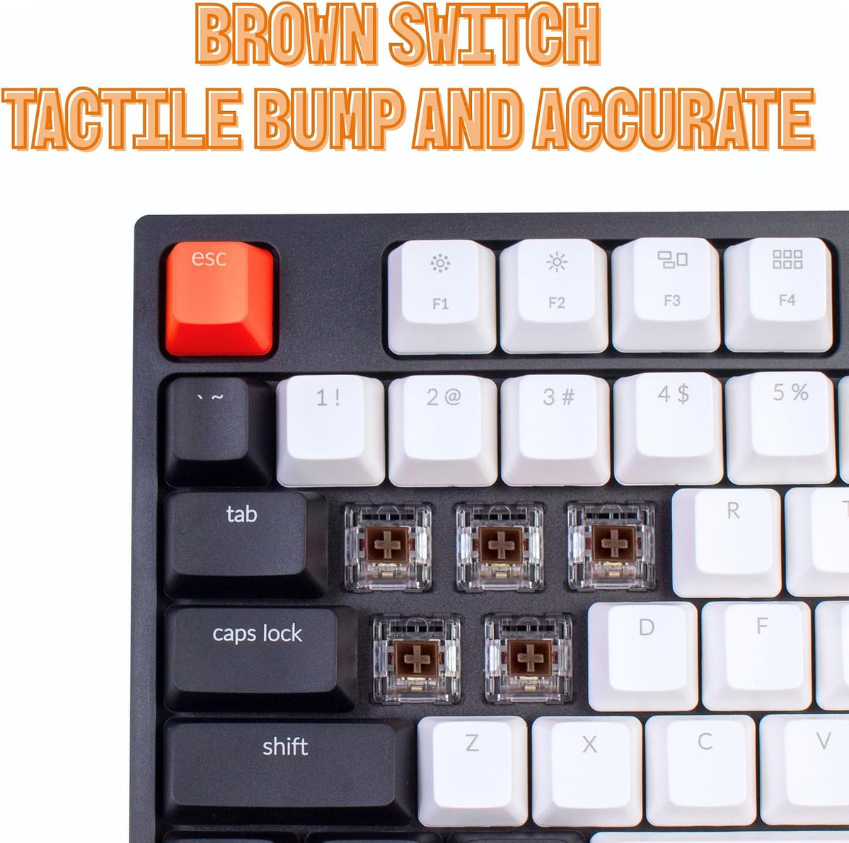 Keychron C2 Wired Full-Size Keyboard, Brown Switch, RGB Backlit