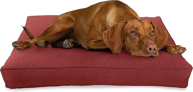 Medium - 36 x 24 x 5 - Cranberry Premium Org Hemp Dog Bed - Organic Latex Fill - Removeable Cover