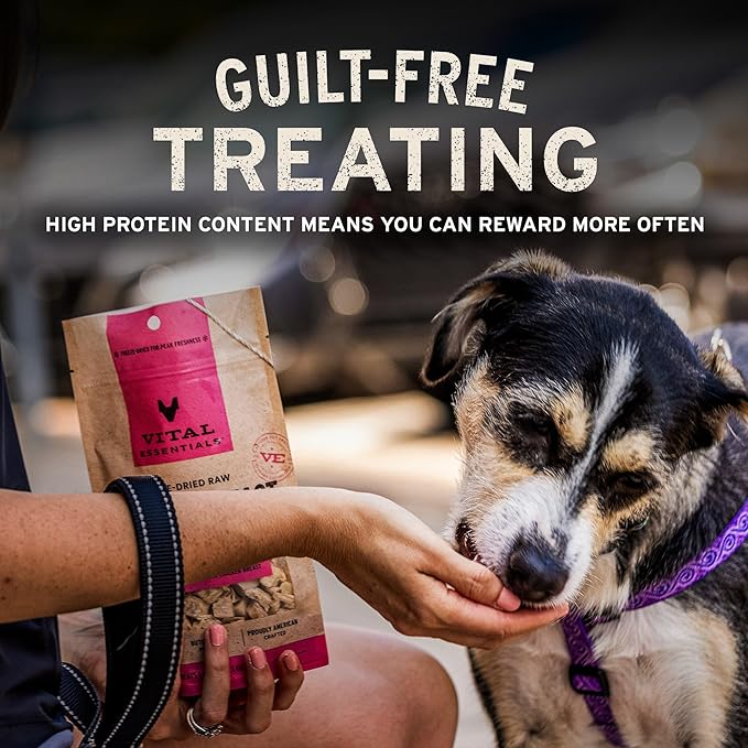 Vital Essentials Single Ingredient Minnows Dog Treats, 2.5 oz | Freeze-Dried Raw | Premium Quality High Protein Training Treats | Grain Free, Gluten Free, Filler Free