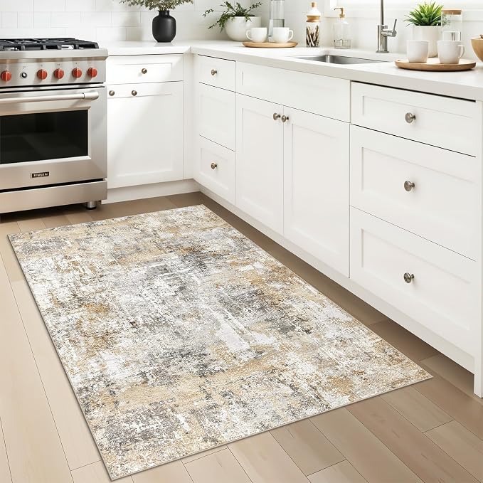3x4 Modern Entryway Area Rug