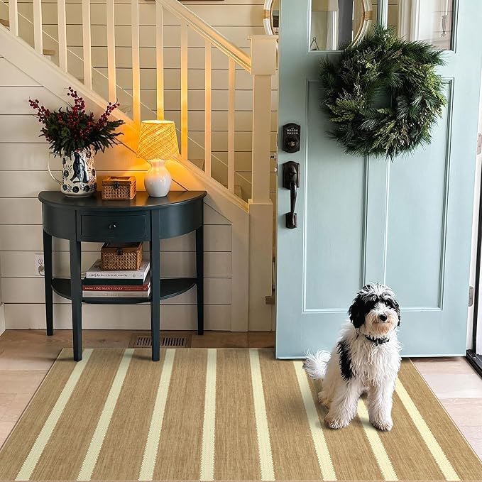 Striped 3x5 Entry Rug