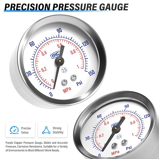 TAILONZ PNEUMATIC 1/4 Inch NPT Automatic Drain Air Filter Pressure Regulator
