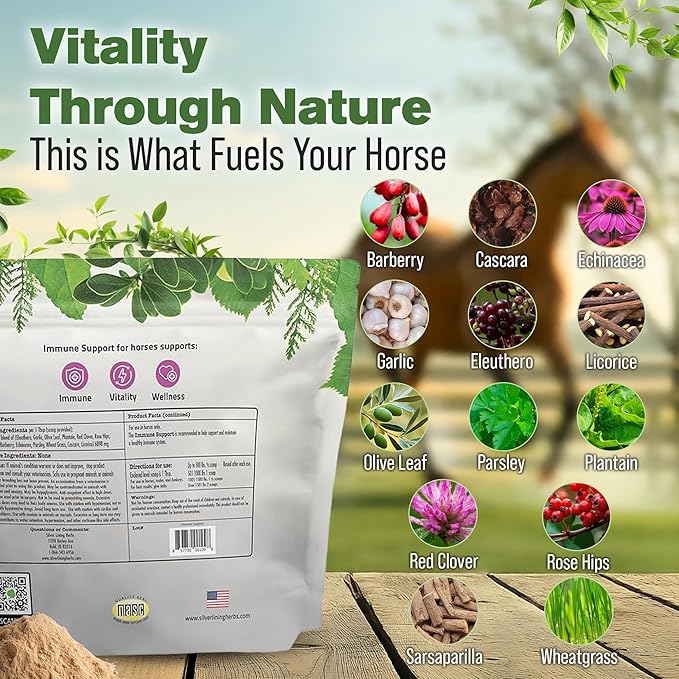 Silver Lining Herbs Immune Support for Horses – Natural Horse Supplements for Immune System, Stamina & Detox – Herbal Horse Health Formula – 5 lb (300 Servings)