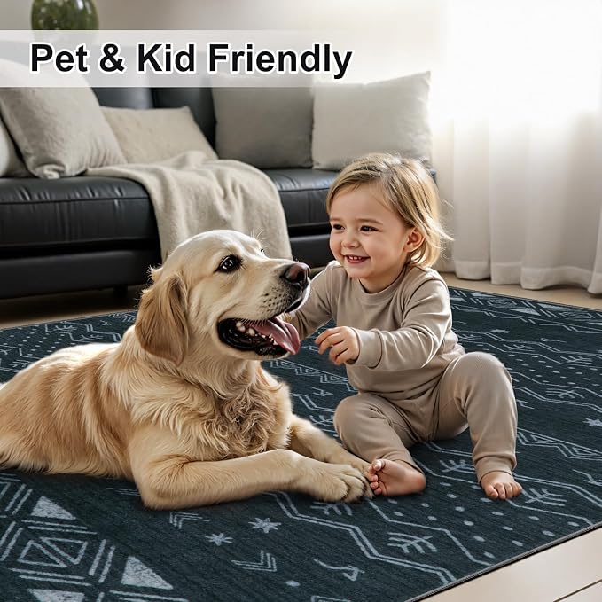 SERISSA 4x6 Area Rugs for Living Room, Washable Non-Slip Grey Boho Rug