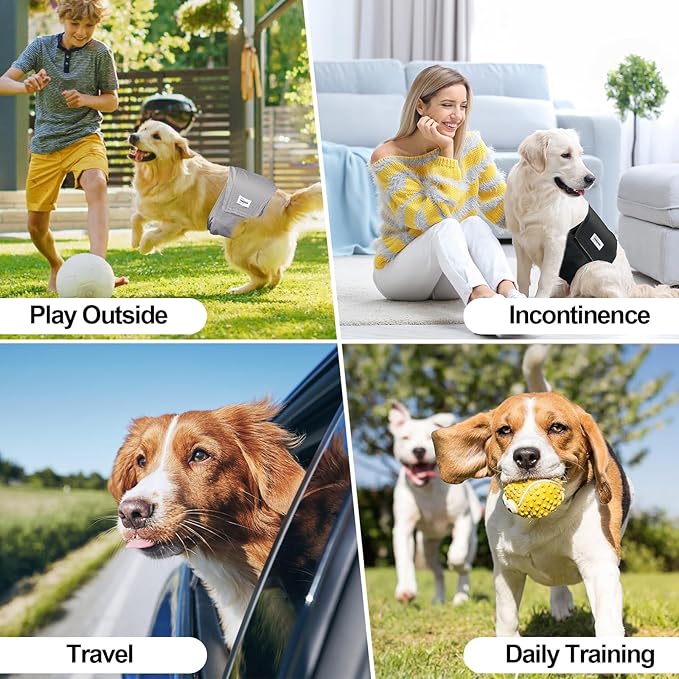 Washable Male Dog Diapers Reusable, Premium Dog Belly Bands for Male Dogs Medium, Pack of 3, High Absorbing Dog Pee Wraps for Doggie in Incontinence or Excitable Urination and Training(M)