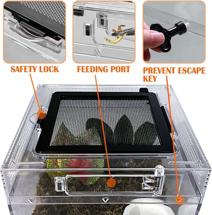 Reptile Terrarium, Jumping Spider Enclosure Starter Kit, Leopard Gecko Habitat Container, 8"x8"x7"Reptile Tank for Tarantula, Hermit Crab, Insect, Fish, Frog, Small Bearded Dragon, Lizard