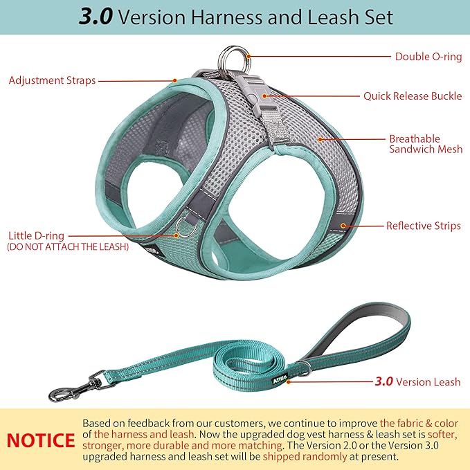 AIITLE Dog Harness, No-Pull Cat Harness with a Leash, Adjustable Reflective Dog Vest, Cat Harness Escape Proof, Outdoor Walking, Running,Training for Extra Small Dogs and House Cats Turquoise XXXS